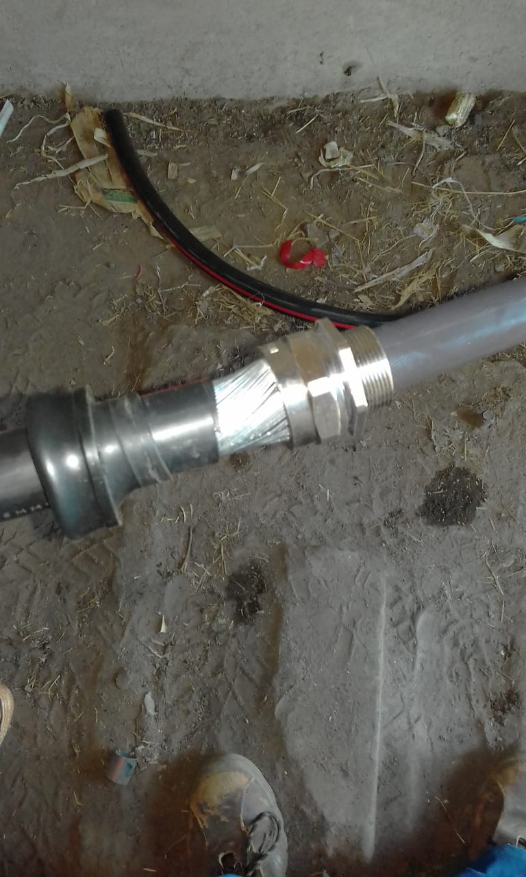 WhatsApp Image 2024-11-28 at 17.25.22_e8f78a64